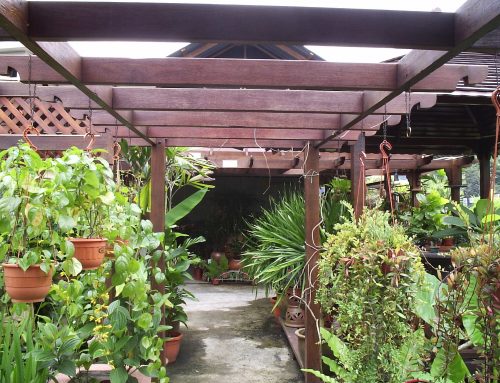 PERGOLA