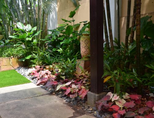 LANDSCAPE DESIGN FEATURES