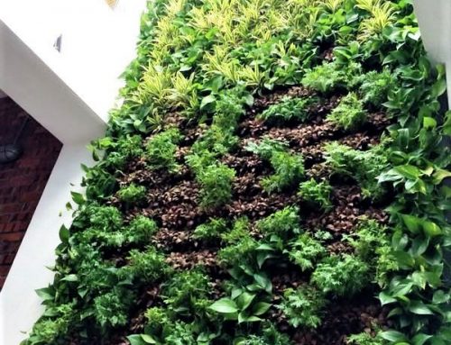 VERTICAL GARDEN PROFILE